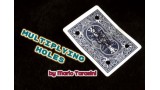 Multiplying Holes by Mario Tarasini Multiplying Holes by Mario Tarasini