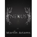 Nexus by Martin Adams