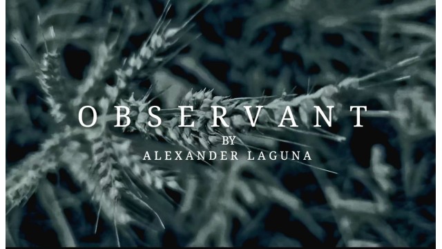 Observant by Alexander Laguna Observant by Alexander Laguna