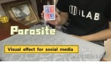 Parasite by Dingding Parasite by Dingding