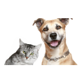 Pawology Palm Reading For Animals Paws & Animal Hypnosis by Jonathan Royle