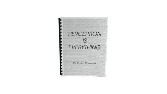 Perception Is Everything by Bruce Bernstein Perception Is Everything by Bruce Bernstein