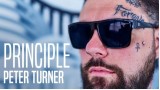 Principle by Peter Turner Principle by Peter Turner