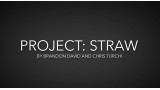 Project Straw by Brandon David & Chris Turchi Project Straw by Brandon David & Chris Turchi