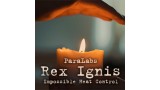 Rex Ignis 2.0 by Paralabs Rex Ignis 2.0 by Paralabs