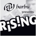 Rising by Barbu Nitelea