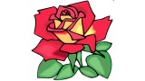 Roses For Her by Nubzmagic Roses For Her by Nubzmagic