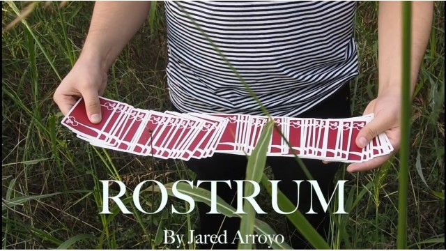 Rostrum by Jared Arroyo Rostrum by Jared Arroyo