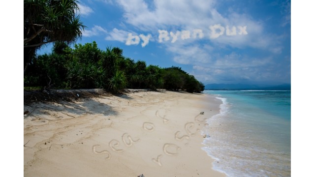 Sea Of Roses by Ryan Dux Sea Of Roses by Ryan Dux