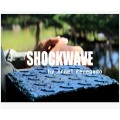 Shockwave by Arnel Renegado