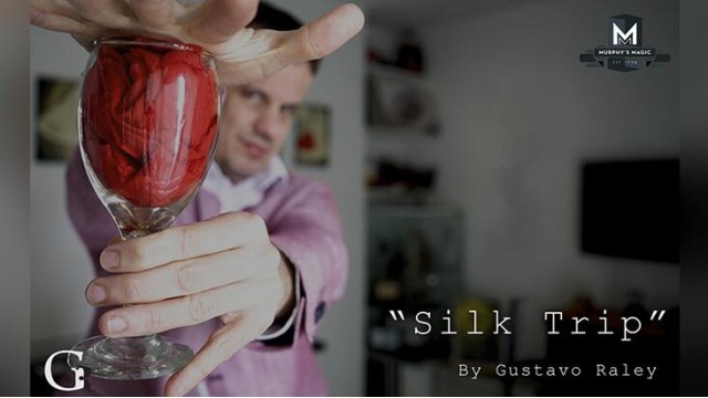 Silk Trip by Gustavo Raley Silk Trip by Gustavo Raley