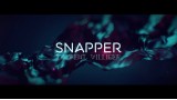 Snapper by Laurent Villiger Snapper by Laurent Villiger