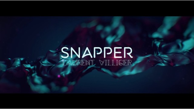 Snapper by Laurent Villiger Snapper by Laurent Villiger