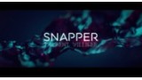 Snapper // Laurent Villiger Snapper // Laurent Villiger