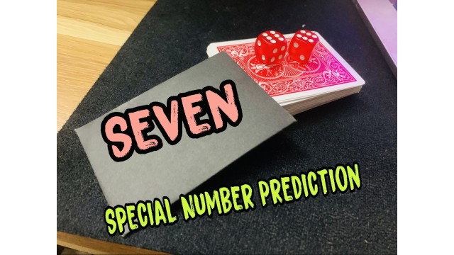 Snp by Seven Snp by Seven