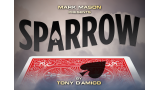 Sparrow by Tony D'Amico Sparrow by Tony D'Amico