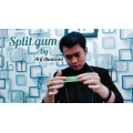 Split Gum by Arif Illusionist