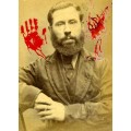 Survived Or Killed by Aleksander Nusic Survived Or Killed by Aleksander Nusic