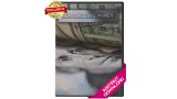 Tantalizing Money by Liam Montier Tantalizing Money by Liam Montier