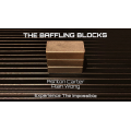 The Baffling Blocks by Alan Wong And Ashton Carter