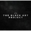 The Black Art Project by Will Tsai