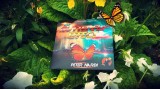 The Butterfly Effect by Peter Nardi The Butterfly Effect by Peter Nardi