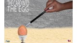 The Card Into The Egg by Alan The Card Into The Egg by Alan