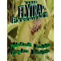 The Flytrap Experience by Paolo Cavalli & Greg Arce