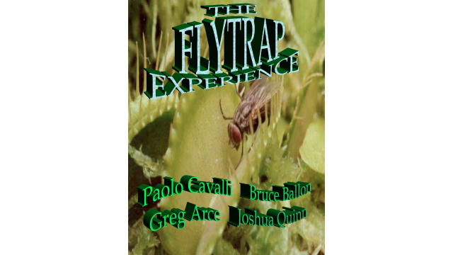 The Flytrap Experience by Paolo Cavalli & Greg Arce The Flytrap Experience by Paolo Cavalli & Greg Arce