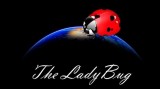 The Ladybug by Hugo Valenzuela The Ladybug by Hugo Valenzuela