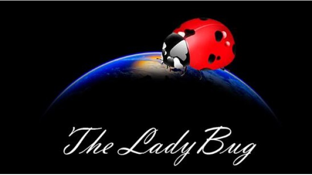 The Ladybug by Hugo Valenzuela The Ladybug by Hugo Valenzuela