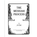 The Messiah Process by John Riggs
