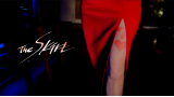 The Skirt by Nimble Mind The Skirt by Nimble Mind