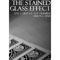 The Stained Glass Effect (Acaan) by Simon Caine