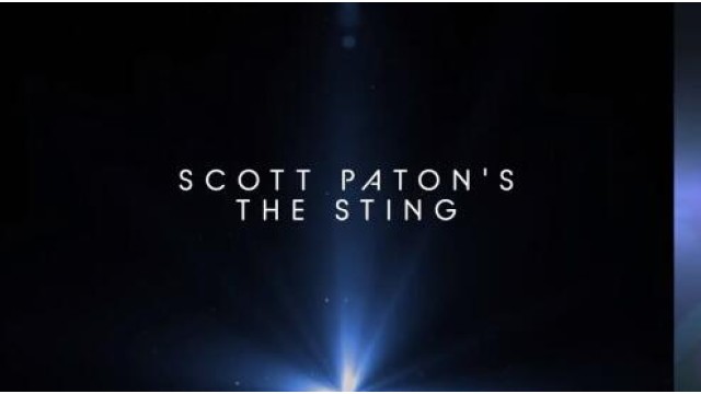 The Sting by Scott Paton The Sting by Scott Paton
