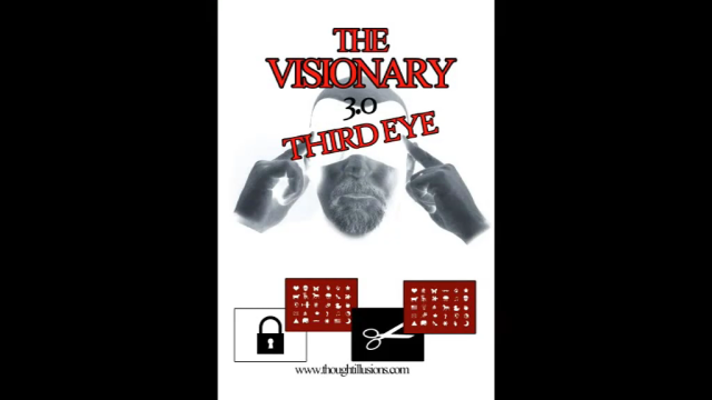 The Visionary 3.0 by Stephen Young The Visionary 3.0 by Stephen Young