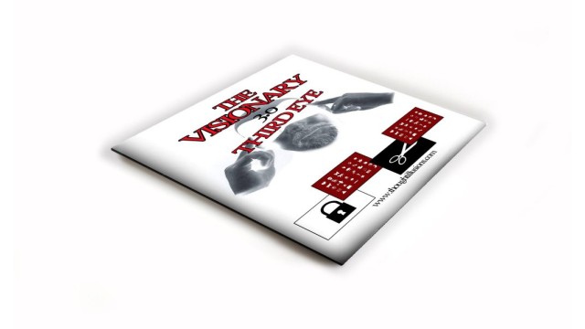 Visionary 3.0 by Stephen E Young Visionary 3.0 by Stephen E Young
