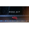 Visual Matrix AKA Rose Act by Will Tsai (Valorous Silver)