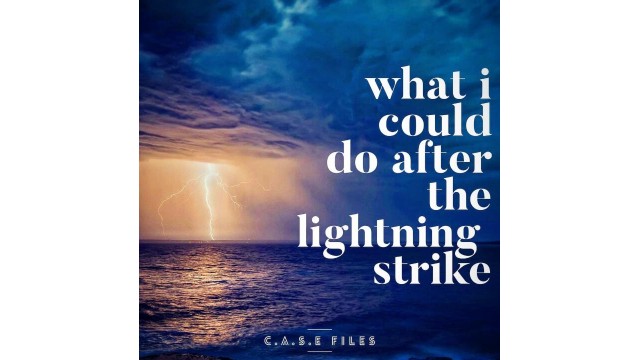 What I Could Do After The Lightning Strike by Steve Wachner What I Could Do After The Lightning Strike by Steve Wachner