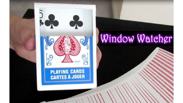 Window Watcher by Aaron Plener Window Watcher by Aaron Plener