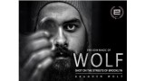 Wolf by Branden Wolf Wolf by Branden Wolf