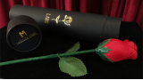 Y-Rose by Mr. Y & Bond Lee Y-Rose by Mr. Y & Bond Lee
