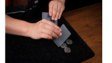 Transparent Matrix by Artisan Coin & Chen Hui Transparent Matrix by Artisan Coin & Chen Hui