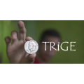 Trige Move By Rogelio Diaz Mechilina Jr.