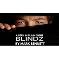 Blindz by Mark Bennett