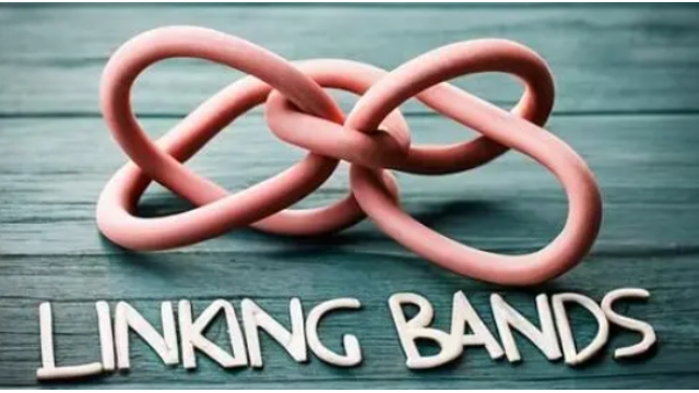 Linking Bands by Fernando Moreno - 2024 Linking Bands by Fernando Moreno - 2024