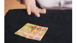 Michael Bloemeke & Michael O'Brien - Pokémon Wild Card Bonus Pack Michael Bloemeke & Michael O'Brien - Pokémon Wild Card Bonus Pack