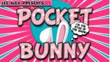 Pocket Bunny by Lee Alex Pocket Bunny by Lee Alex