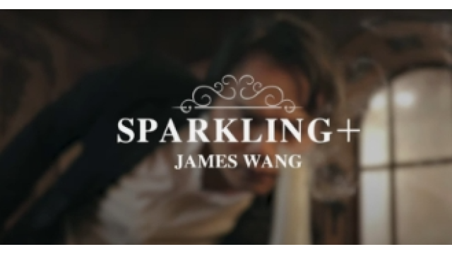 SPARKLING by James Wang & Hanson Chien - 2024 SPARKLING by James Wang & Hanson Chien - 2024