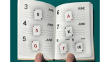 LS Diary by Leo Smetsers LS Diary by Leo Smetsers